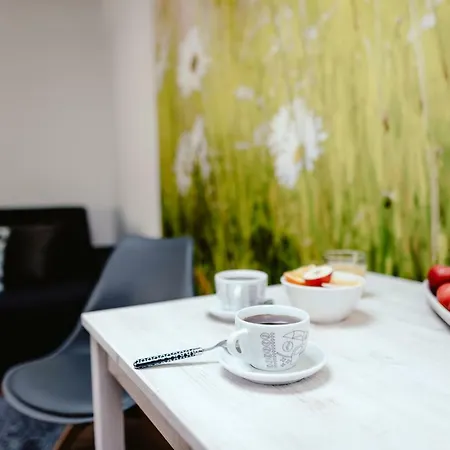 Apartmán Zelny Trh 40 *