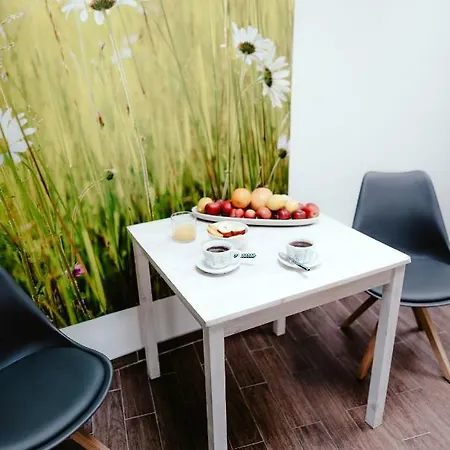 Zelny Trh 40 Apartment