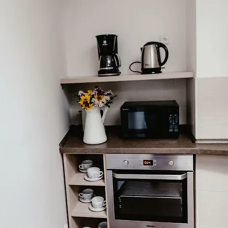 Apartmán Zelny Trh 40 Brno