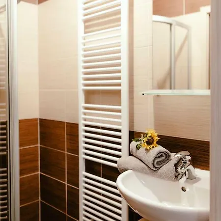 Apartmán Zelny Trh 40 Brno