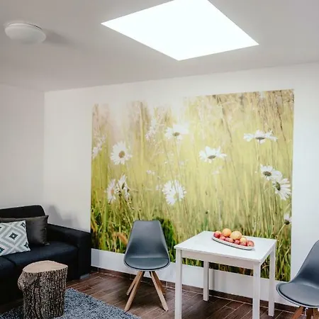 Zelny Trh 40 Apartmán *