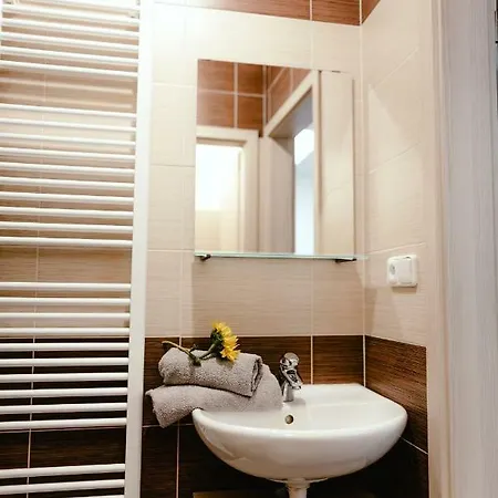 Apartment Zelny Trh 40