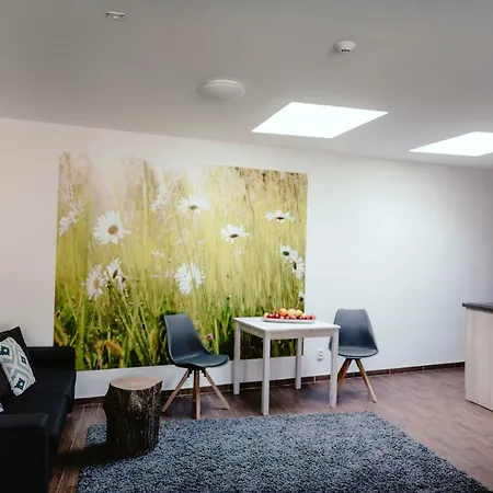 Zelny Trh 40 Apartment Brno