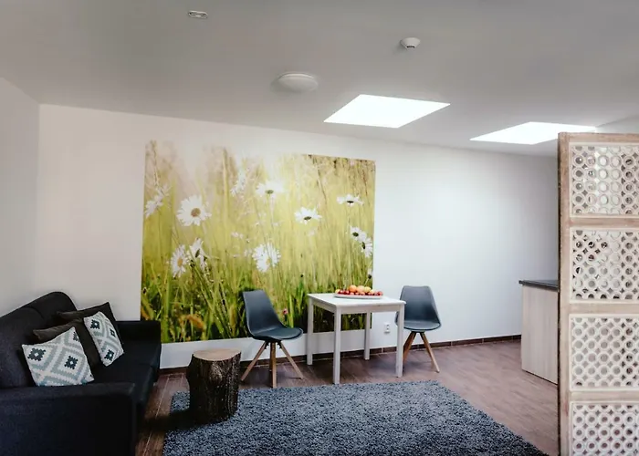 Zelny Trh 40 Apartament Brno