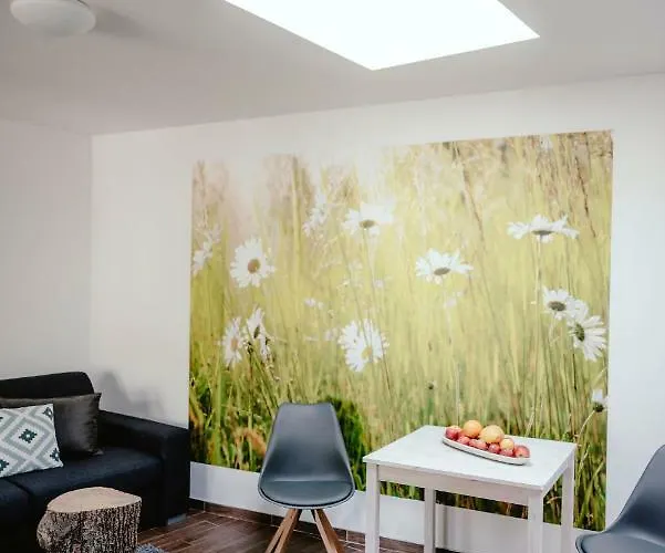 Zelny Trh 40 Apartament *